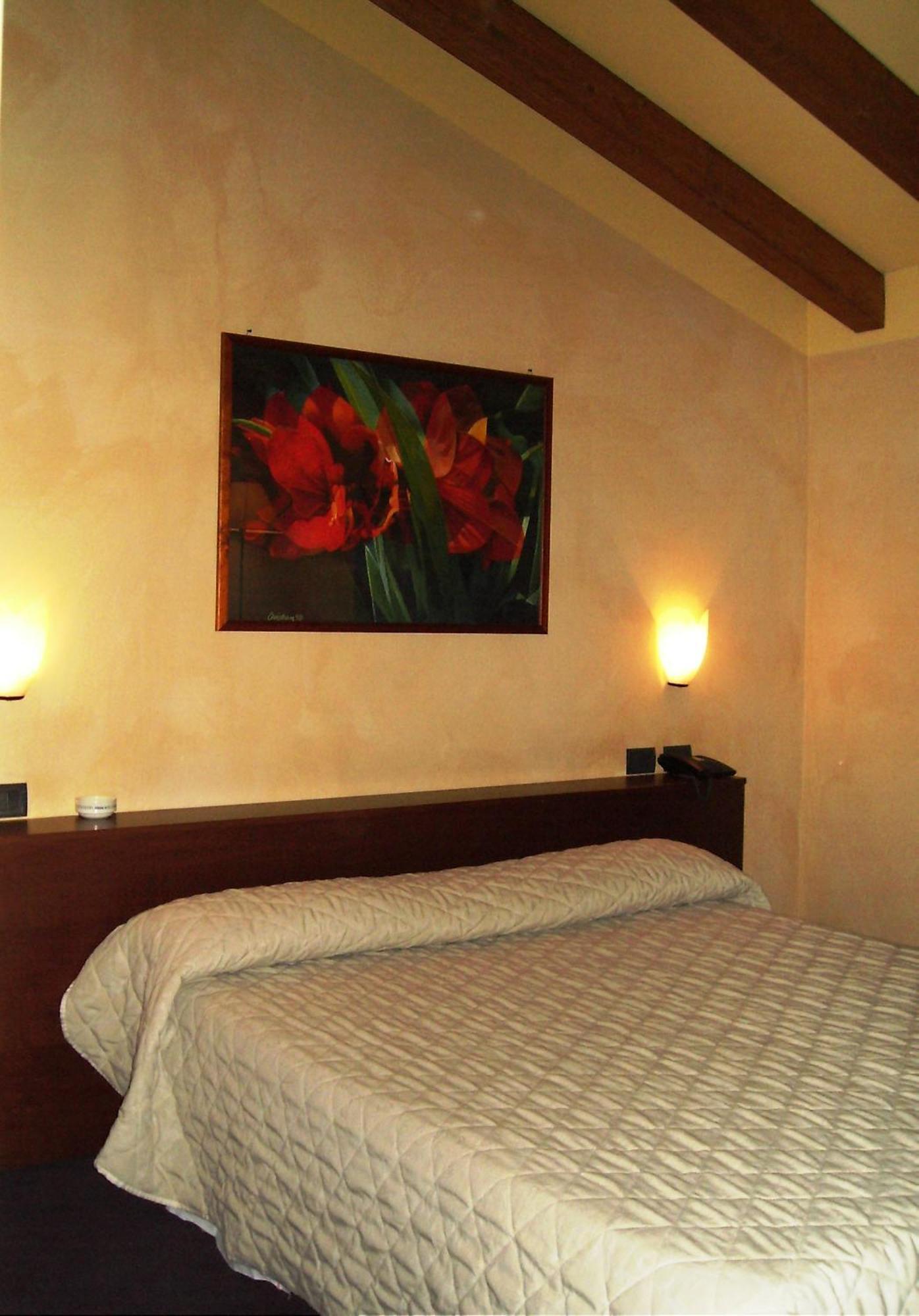 Hotel Parco Castelvetro Piacentino Quarto foto